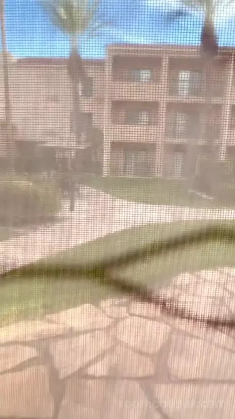 King Suite with Sofa Bed (#2011) picture #13