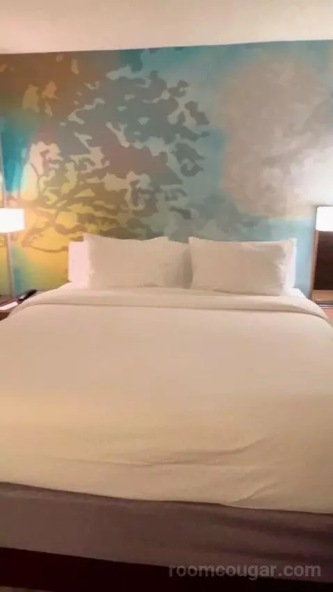 King Suite with Sofa Bed (#2011) picture #18