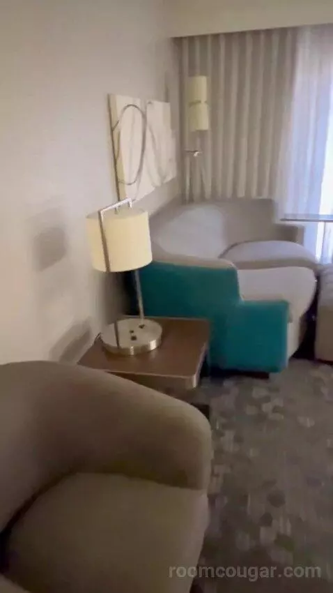 King Suite with Sofa Bed (#2011) picture #3