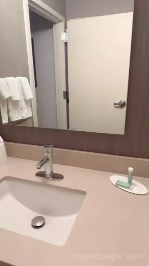 King Suite with Sofa Bed (#2011) picture #21