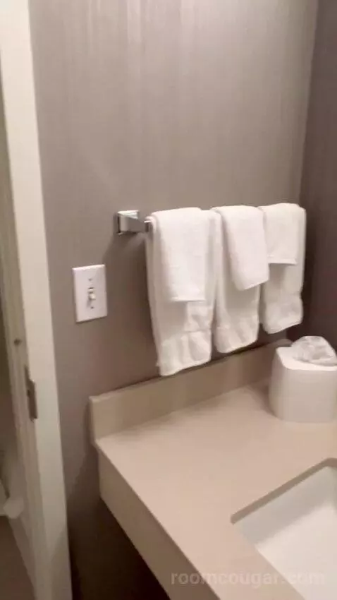 King Suite with Sofa Bed (#2011) picture #22