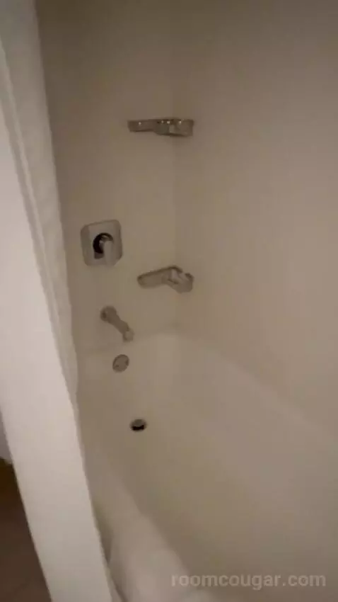 King Suite with Sofa Bed (#2011) picture #23