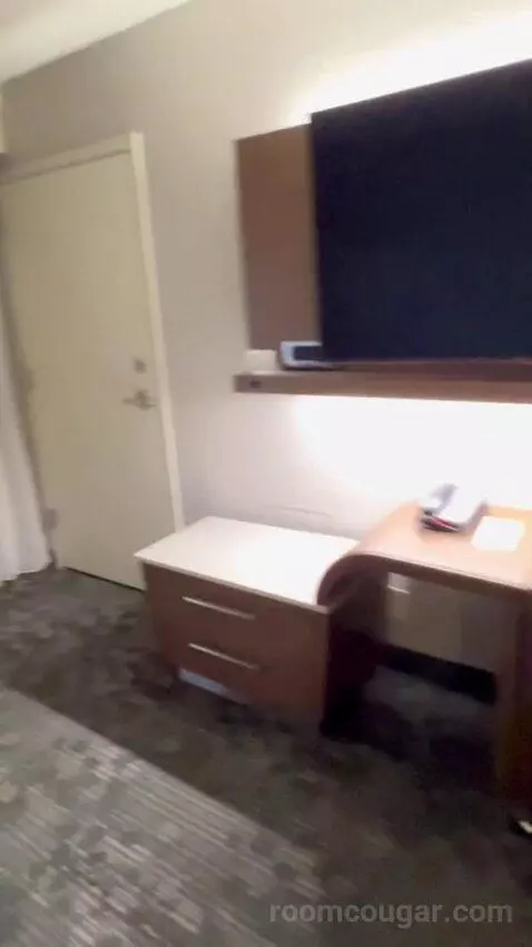 King Suite with Sofa Bed (#2011) picture #5