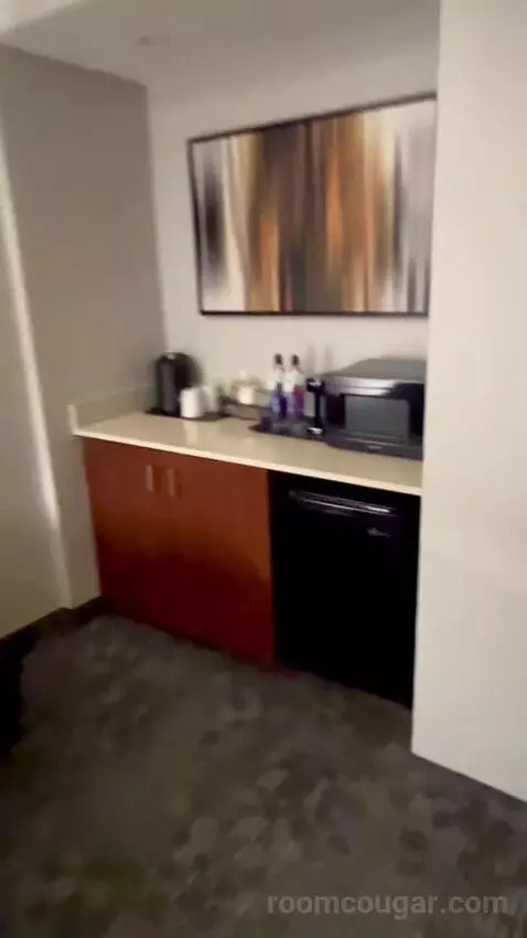 King Suite with Sofa Bed (#2011) picture #6