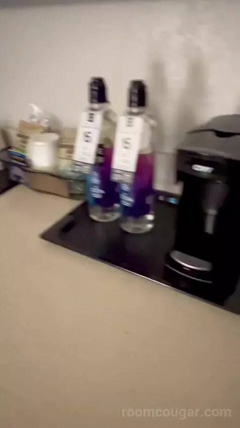 King Suite with Sofa Bed (#2011) picture #9