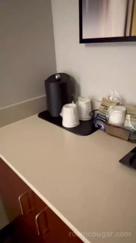 King Suite with Sofa Bed (#2011) picture #10