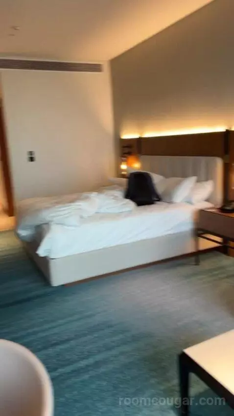 King Deluxe Room with Sofa Bed and Waterfront View (#1102) bed picture #8
