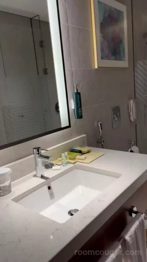 King Deluxe Room with Sofa Bed and Waterfront View (#1102) bathroom picture #1