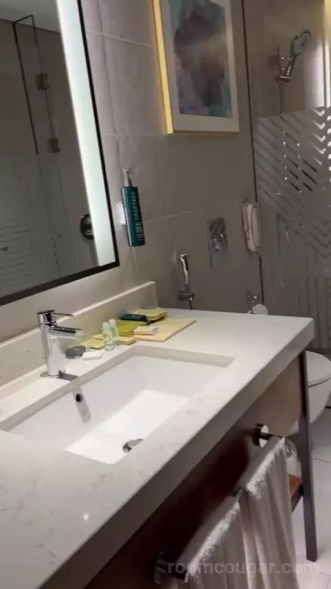 King Deluxe Room with Sofa Bed and Waterfront View (#1102) bathroom picture #4