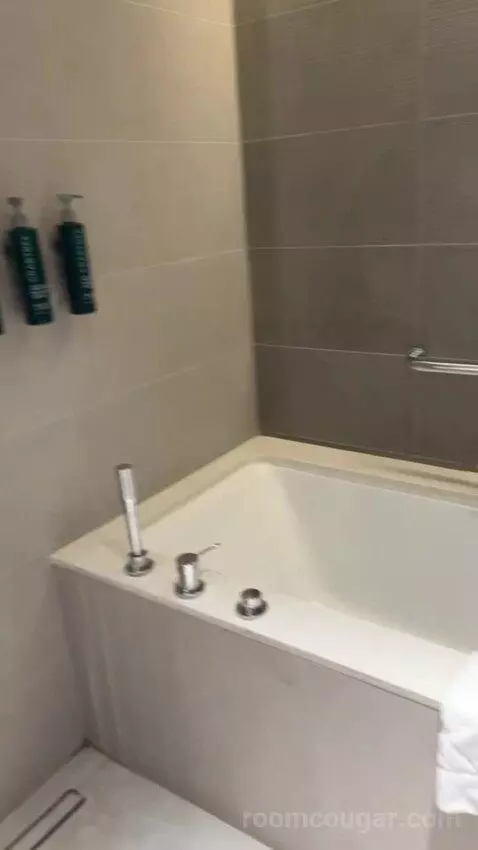 King Deluxe Room with Sofa Bed and Waterfront View (#1102) bathroom picture #9