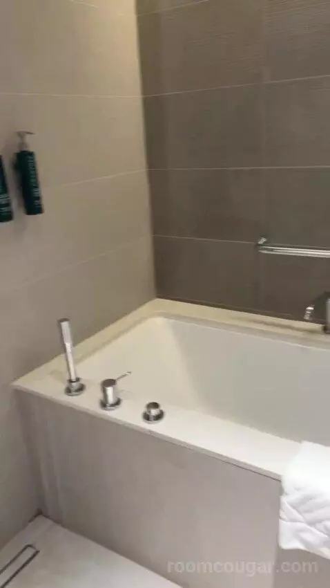 King Deluxe Room with Sofa Bed and Waterfront View (#1102) bathroom picture #10