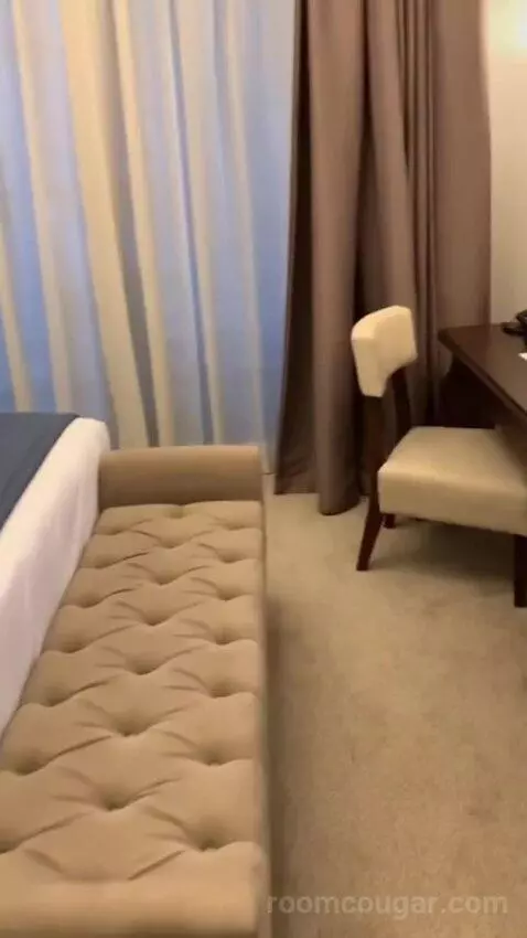 Deluxe Suite picture #12