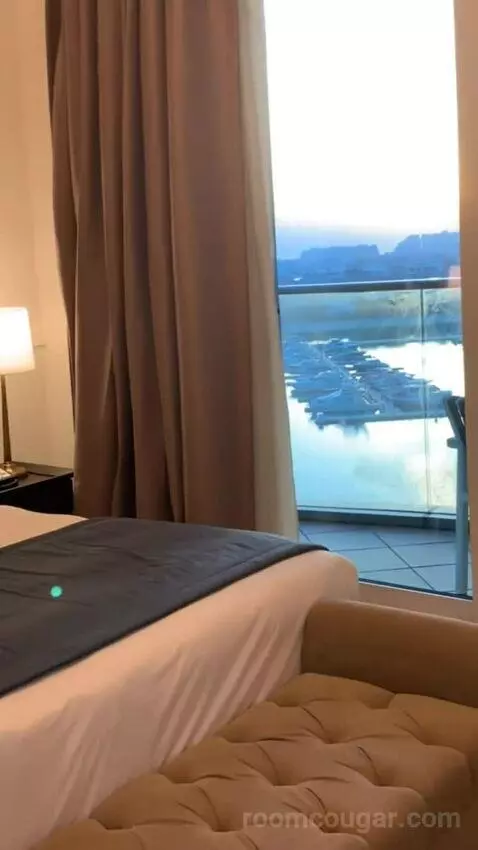 Deluxe Suite view picture #10