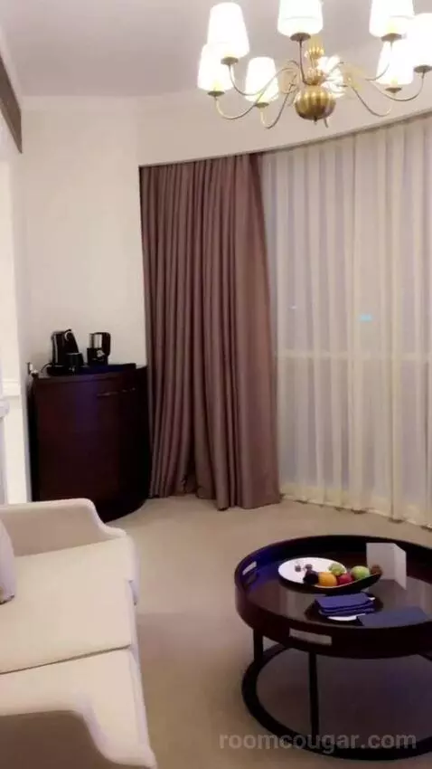Deluxe Suite picture #20