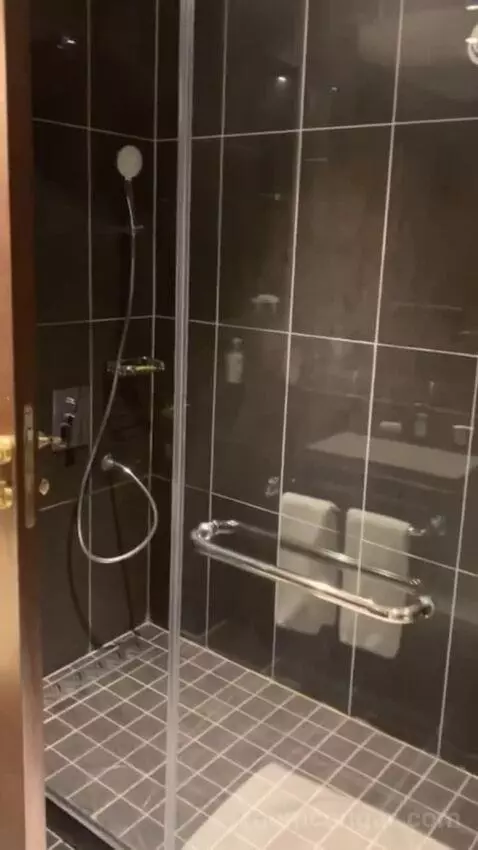 Deluxe Suite bathroom picture #5