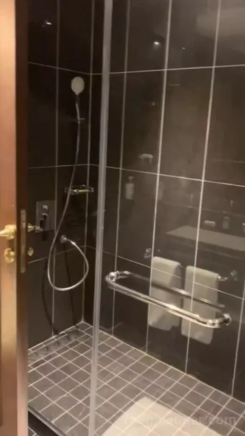 Deluxe Suite bathroom picture #6