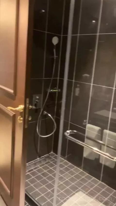 Deluxe Suite bathroom picture #8