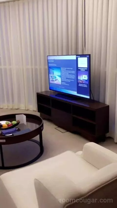 Deluxe Suite picture #22