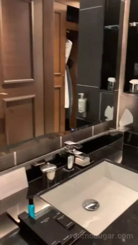 Deluxe Suite bathroom picture #12