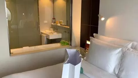 Deluxe Double Room bathroom picture #1