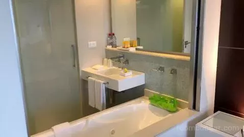 Deluxe Double Room bathroom picture #3