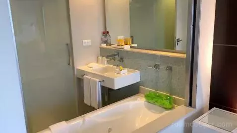 Deluxe Double Room bathroom picture #4