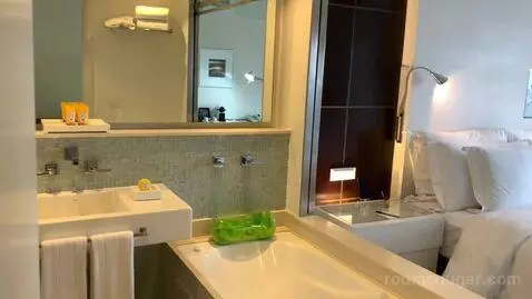 Deluxe Double Room bathroom picture #8