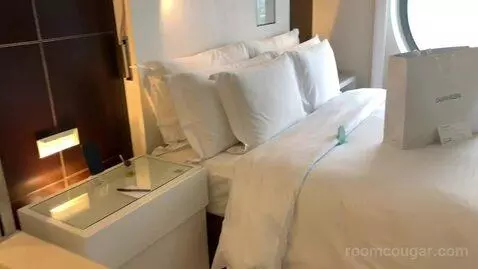 Deluxe Double Room bed picture #7