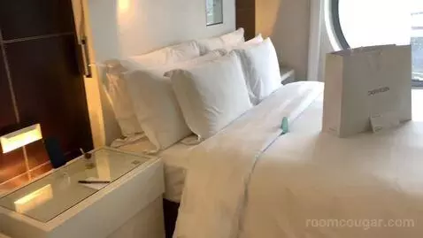 Deluxe Double Room bed picture #9