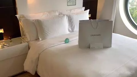 Deluxe Double Room bed picture #4