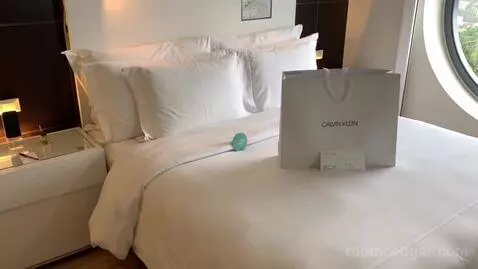 Deluxe Double Room bed picture #6