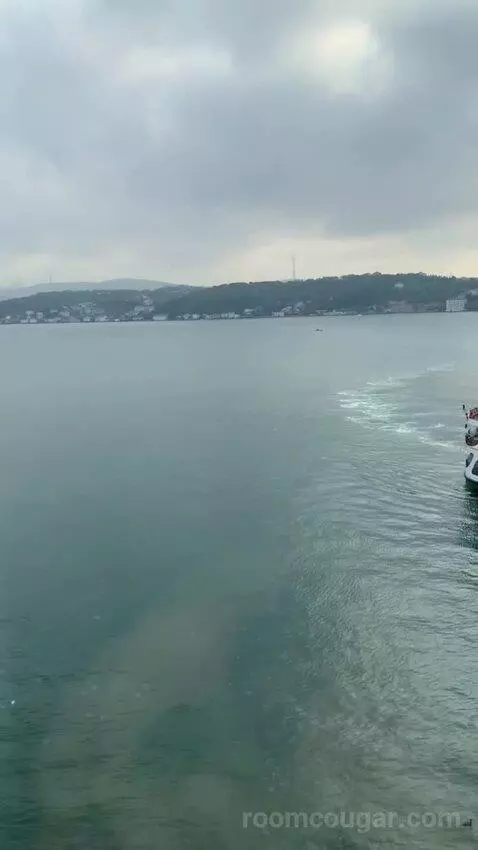 Premier Room with Bosphorus View view picture #7