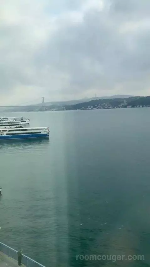 Premier Room with Bosphorus View view picture #10