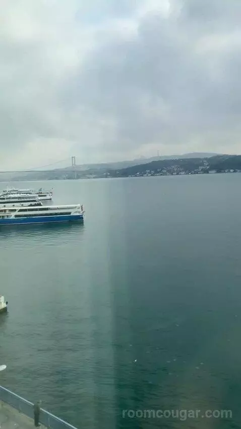 Premier Room with Bosphorus View view picture #11