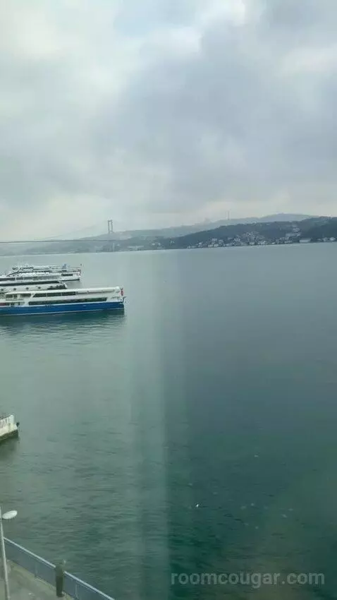 Premier Room with Bosphorus View view picture #12