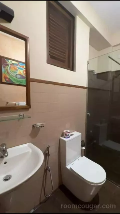 Deluxe Room (#7) bathroom picture #1