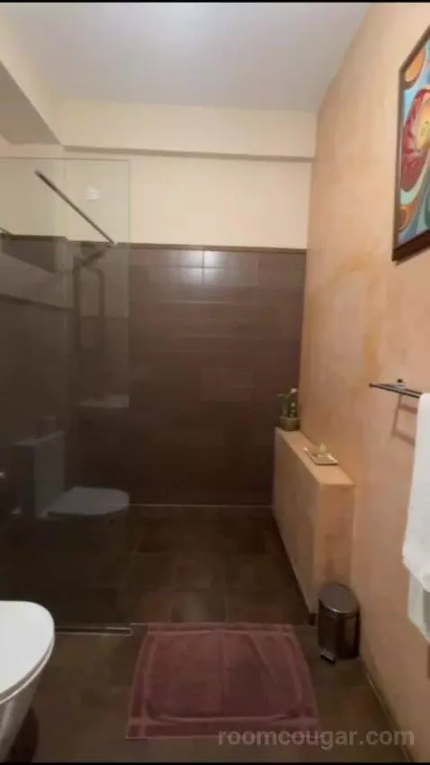 Deluxe Room (#7) bathroom picture #7