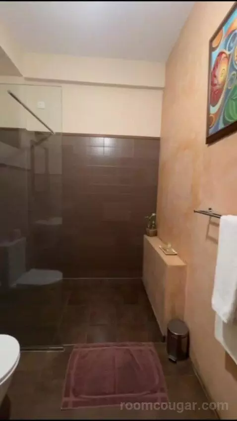Deluxe Room (#7) bathroom picture #8