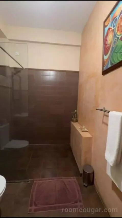 Deluxe Room (#7) bathroom picture #9