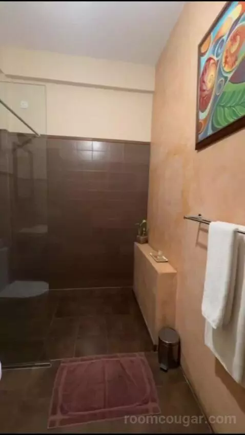 Deluxe Room (#7) bathroom picture #10