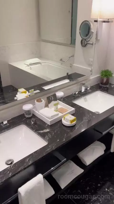 Junior Suite bathroom picture #6