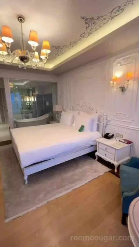 Deluxe Double or Twin Room view picture #1