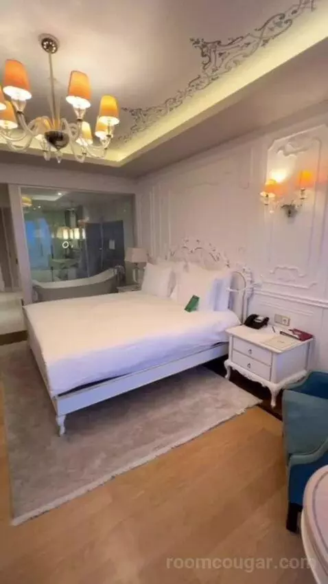 Deluxe Double or Twin Room view picture #2