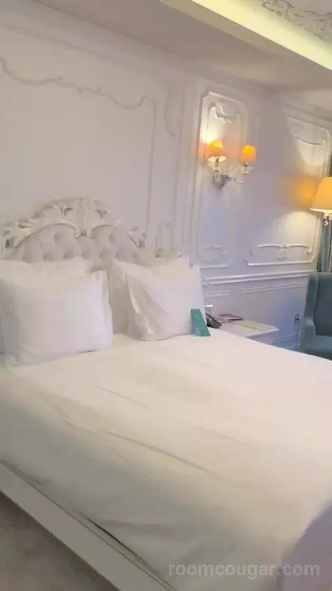 Deluxe Double or Twin Room bed picture #2
