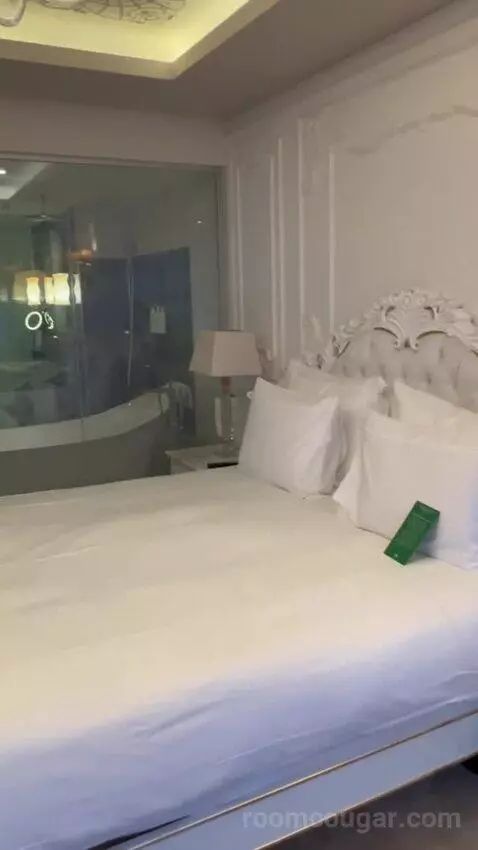 Deluxe Double or Twin Room bed picture #4