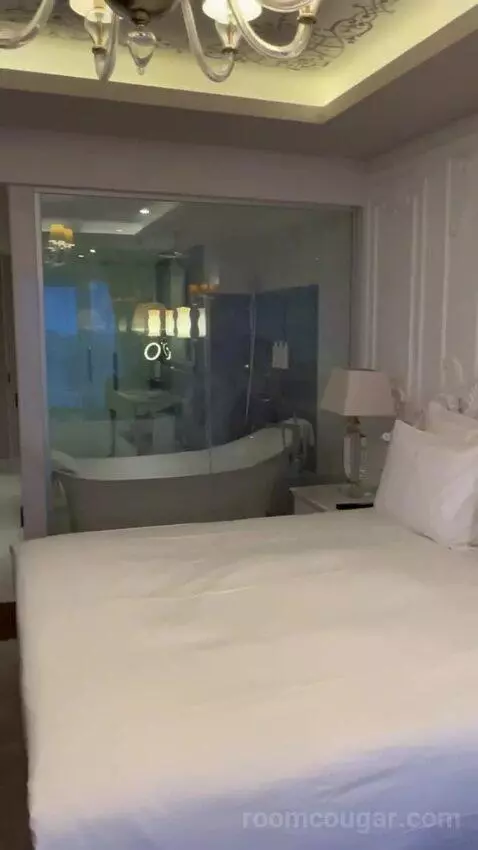 Deluxe Double or Twin Room bathroom picture #2
