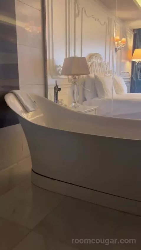 Deluxe Double or Twin Room bathroom picture #6