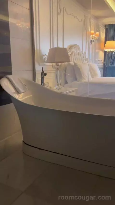 Deluxe Double or Twin Room bathroom picture #8