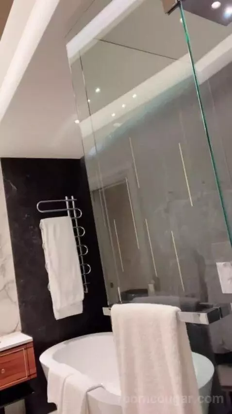 Deluxe Junior Suite (#207) bathroom picture #2