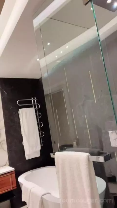 Deluxe Junior Suite (#207) bathroom picture #3